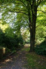 Herbst-Friedhof 004.jpg